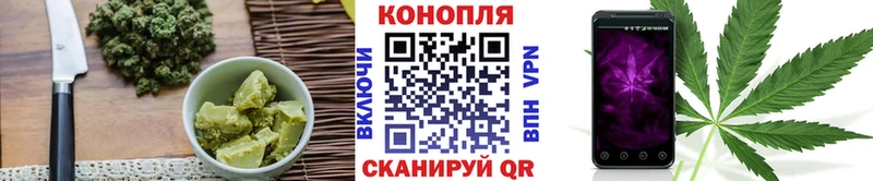 Cannafood конопля Шенкурск