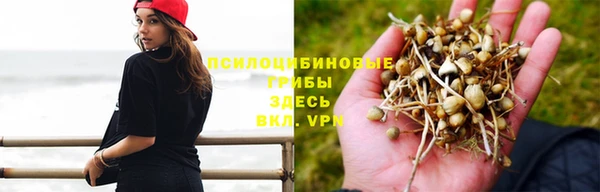 меф VHQ Богородск